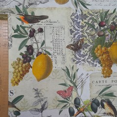 Citrusy  - Citrusy  foto