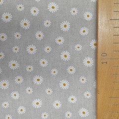 Sedmikr�ska - Sedmikr�ska foto