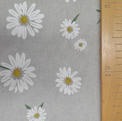 Kopretina - Kopretina foto