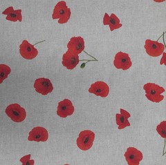 M�ky drobn� - M�ky drobn� foto